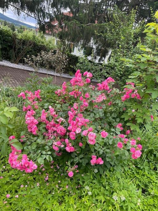 Freiblick 3 Bad Glbg Mit Terrasse Top 3 Bad Gleichenberg Exterior foto